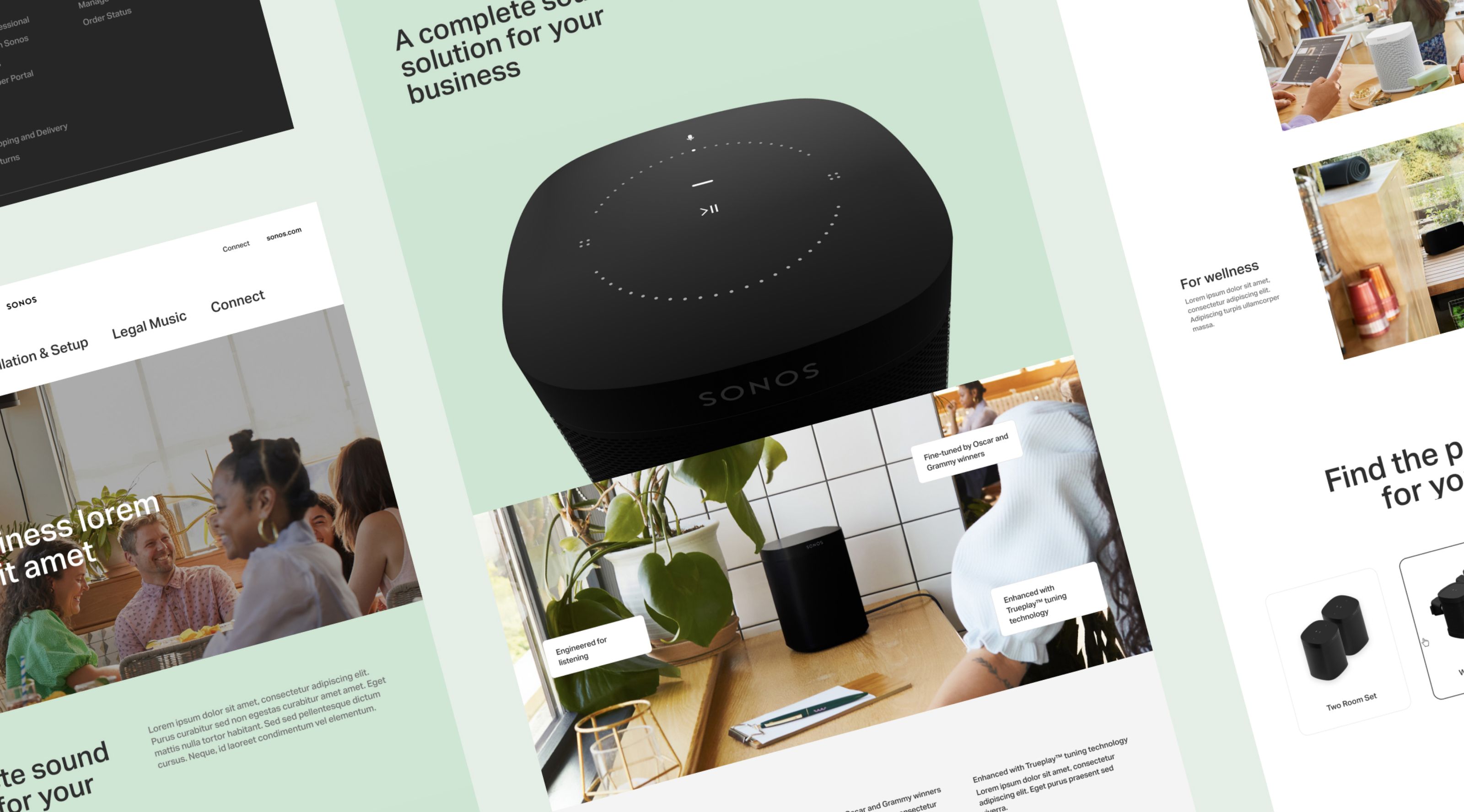 Sonos survey insights